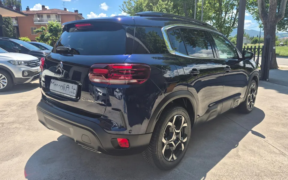 Citroën C5 Aircross BlueHdi 130 S&S EAT8 Shine — foto 4 di 22