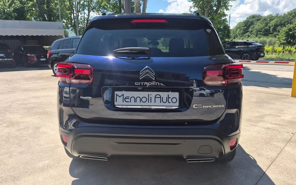 Citroën C5 Aircross BlueHdi 130 S&S EAT8 Shine — foto 5 di 22